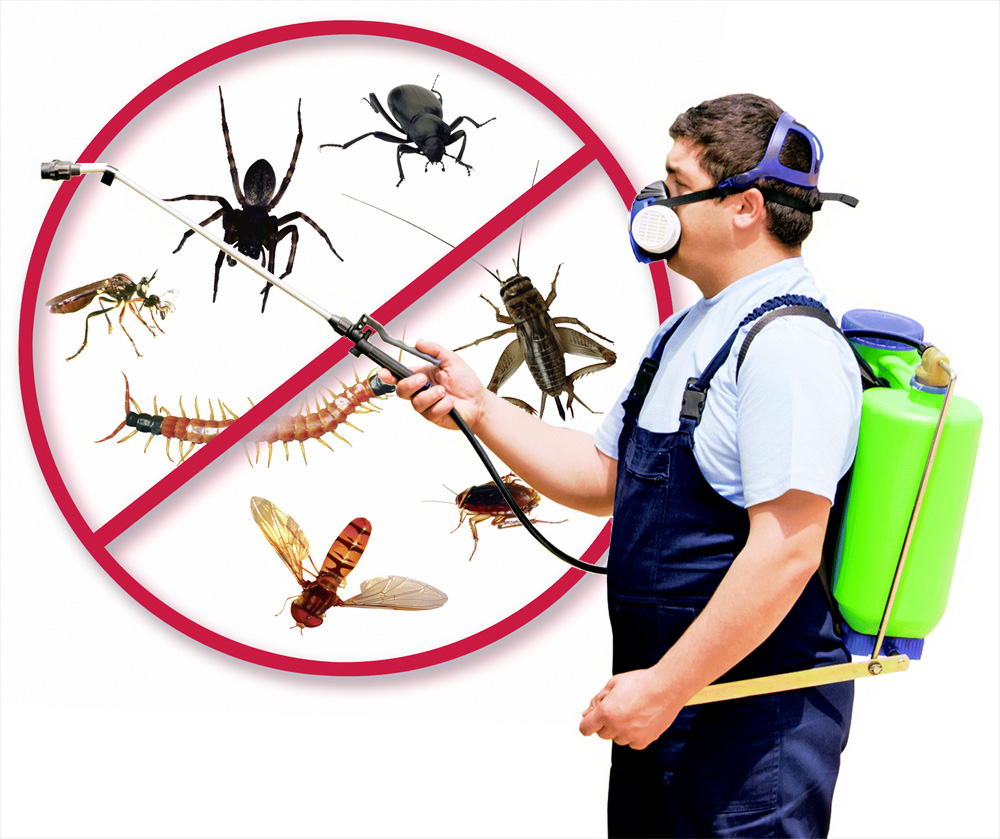 5 Reasons Why Pesticides are Bad